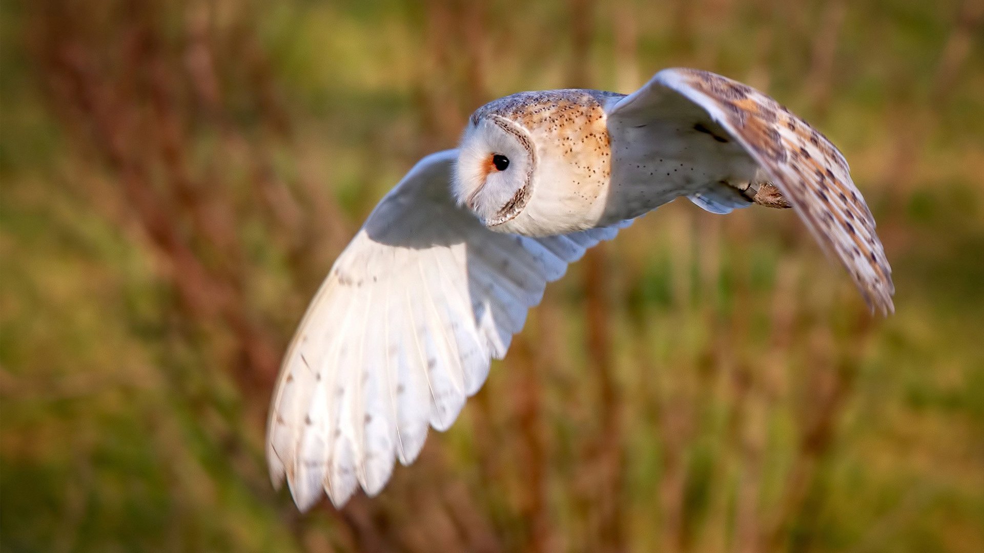 休赛期大戏：转会、签约、变阵全盘点，休赛期交易球员什么时候可以交易