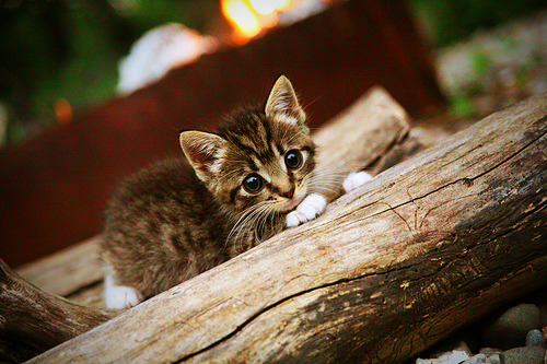 从数据看战术：大数据如何指导战术调整？，浅析大数据技术在作战指挥中的应用